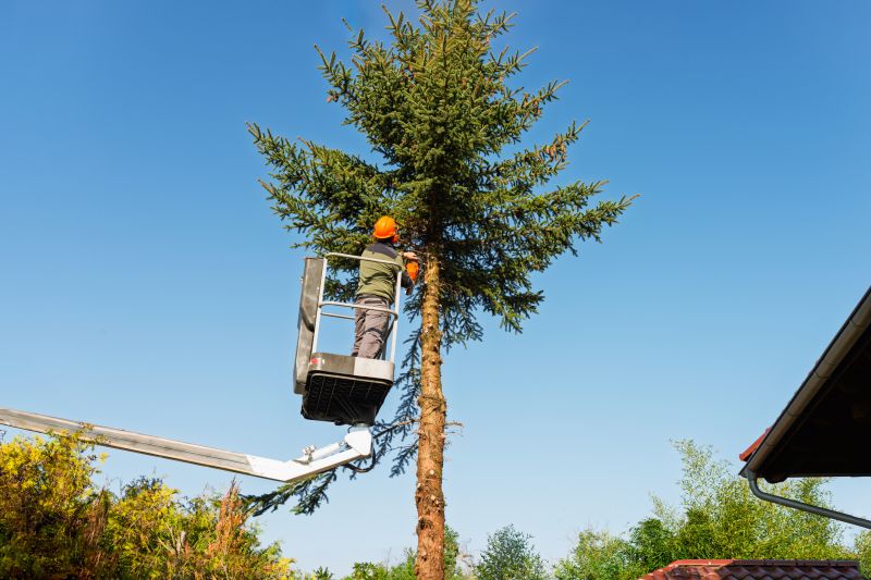 Tree Chipping Services