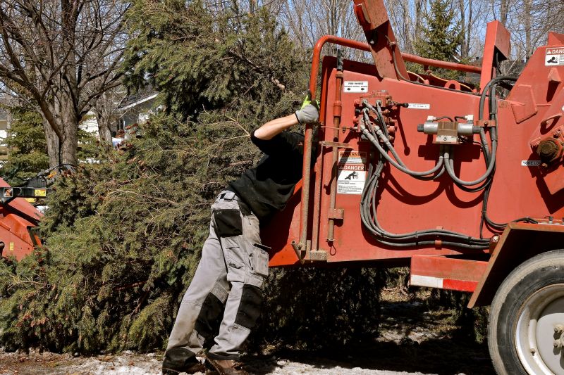 Tree Chipping Services