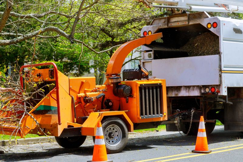 Tree Chipping Services Cost — Cost of tree chipping services