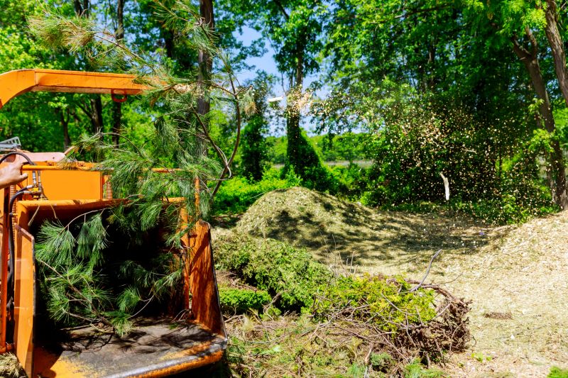 Tree Chipping Services Cost — Cost of tree chipping services