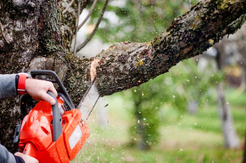 Tree Chipping Services Cost — Cost of tree chipping services