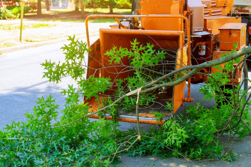 Tree Chipping Services Cost — Cost of tree chipping services