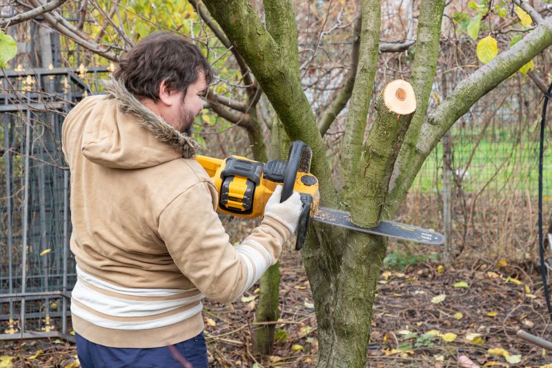 Tree Chipping Services