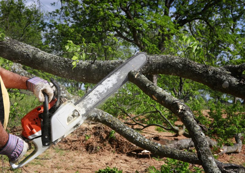 Tree Chipping Services
