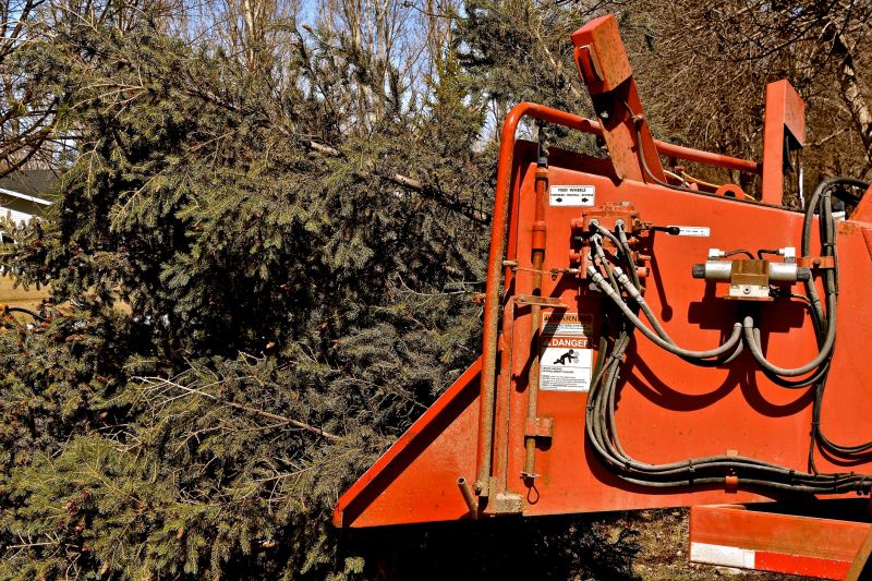 Tree Chipping Services