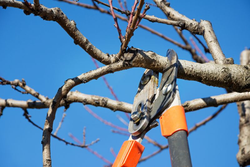 Scheduled Tree Pruning