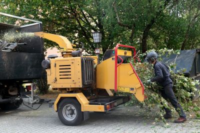 Tree Chipping, Tree Chipping Services, Indiana